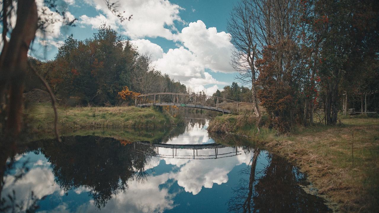 Pensión Casa Bosque 3*